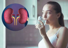 The relationship between water consumption and urinary health.